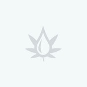 [PUNCH] BADDER - 1G - PURPLE DREAM (H)