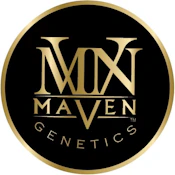 Maven Genetics Chrome Dome Goldies 1.2g Infused Preroll