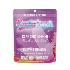 KUSHY PUNCH - Kushy Punch Originals Gummy Recover Blueberry CBD 2:1