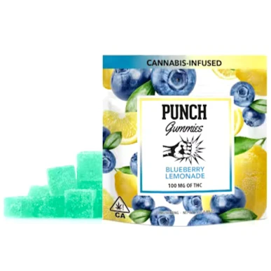 Punch Edibles & Extracts - Punch - Edibles - Blueberry Lemonade - 100mg Main Image