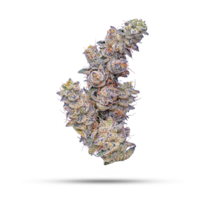 Apple Guy Flowers - Blue Gas Can *32% TAC* | 3.5g Premium Flower | TAX INCLD