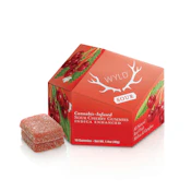 Sour Cherry - 100mg Gummies