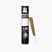 KINGROLL Tangelo Sunrise x Kreamscicle 1.3g Infused Preroll