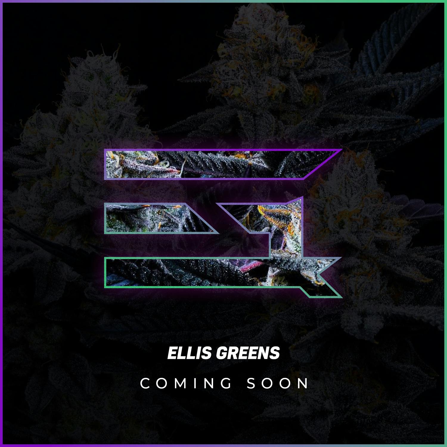 7g GPZ (Indoor) - Ellis Green picture