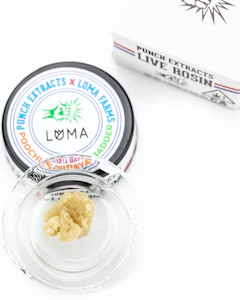 PUNCH EDIBLES & EXTRACTS - TIER 1 - POOCHIE'S PAPAYA 1G - PUNCH EDIBLES & EXTRACTS