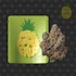 Product Preview Image 2