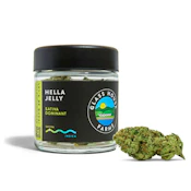 Hella Jelly [3.5g Jar]