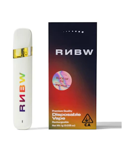 RNBW - DISPOSABLE - SLICE OF PIE 1G - RNBW