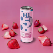 HD Strawberry Margarita Seltzer 4pk - 100mg - TWI