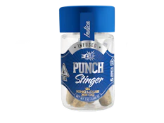 Punch - Stingers - King Louie XIII - (I) 2.5G