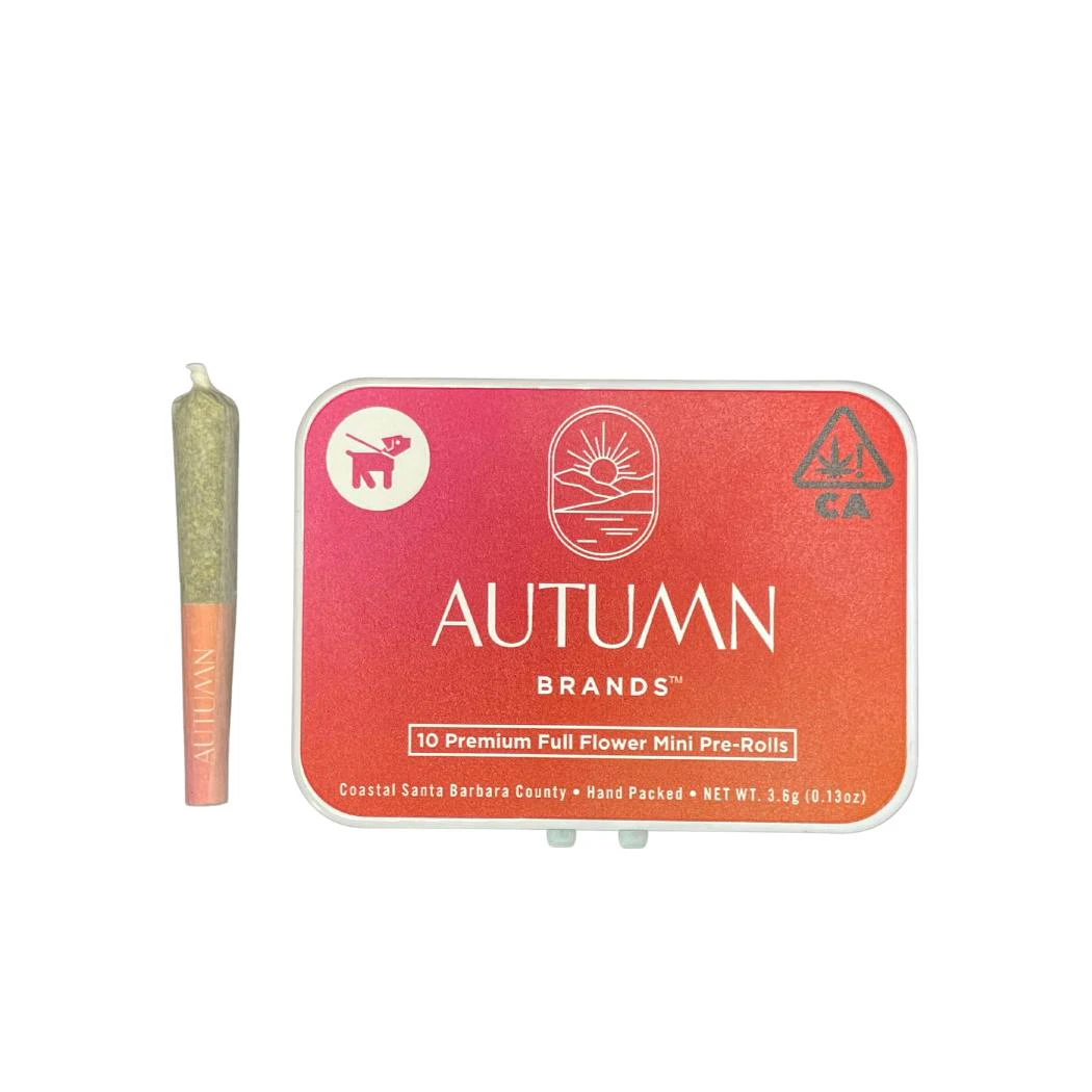 Autumn Brands - Autumn Brands - Mini Preroll 10pk - Hybrid - Whamiee Main Image