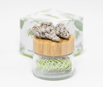 Malibu - Malibu - Malibu's Most Wanted - 3.5g Diamond Infused Flower