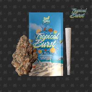 SEED JUNKY - Tropical Burst - 1g (S) - Seed Junky