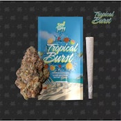 Tropical Burst (1g Pre-Roll) Adult-Use
