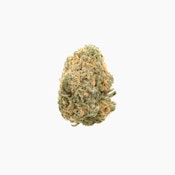 Original Intelligence | Blue Venom Sativa | 3.5g Top Shelf Jar