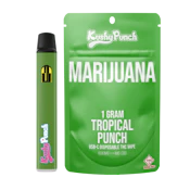 Kushy Punch Vape - Tropical Punch 1G AIO