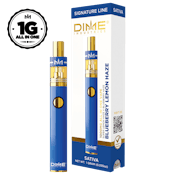 DISPOSABLE - BLUEBERRY LEMON HAZE 1G - DIME INDUSTRIES