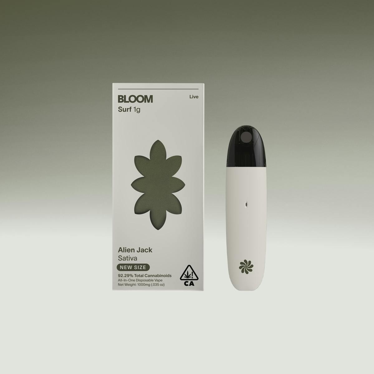 BLOOM: Pink Mimosa Live