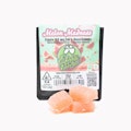 Watermelon Single- Cut-a-Dose Gummy (100mg) Hybrid