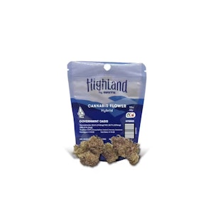 BRITE LABS - Governmint Oasis - 3.5g (H) - Highland by Brite Labs