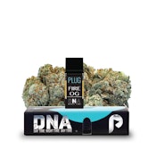 VAPE - 1g PLUG™️ POD DNA - Fire OG
