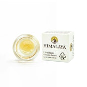 Garlic Juice (Live Resin Concentrate) - 1G