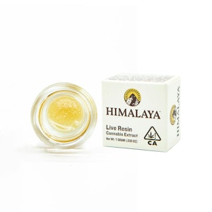 HIMALAYA - Garlic Juice (Live Resin Concentrate) - 1G