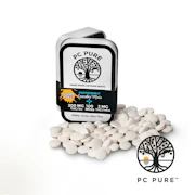 Wintergreen Mints 200mg (100x2mg) - PC PURE