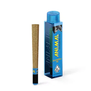 ANIMAL - Animal | Super Infused - Blueberry Pie | 1g Single Preroll