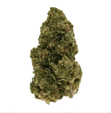 Fog Dog - Fog Dog (H) - 3.5g / 1/8 Main Image