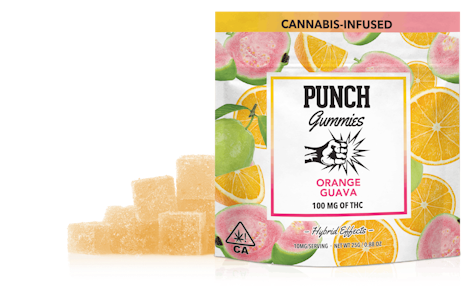 Punch - Orange Guava | 100mg Gummies | Punch