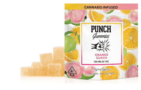 Punch Edibles & Extracts - Punch Edibles & Extracts | Orange Guava Gummies 100mg