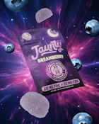 Jaunty Dreamberry Gummies 20mg- 2pk | E34
