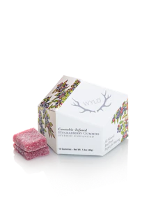 WYLD - WYLD - Huckleberry Gummies - 10 Pack NFR