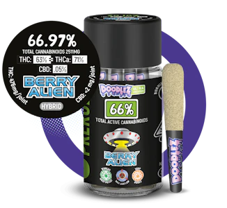 DOODLEZ - DOODLEZ Ultra/Berry Alien/5g/5pk/(H)