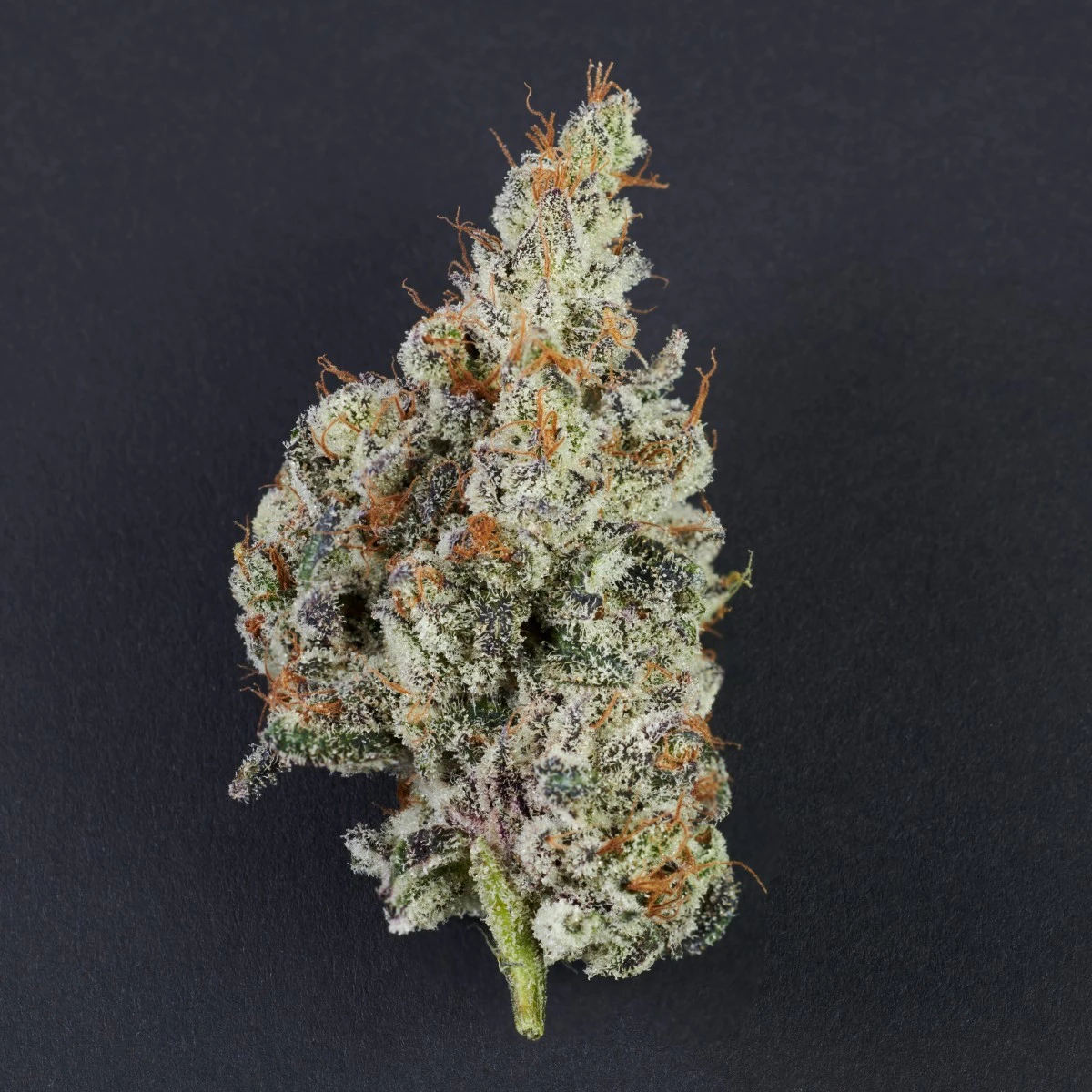 Impressed - K Dynamite *32% TAC* | 3.5g | TAX INCLD Main Image