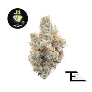 TEAM ELITE GENETICS - Team Elite J1 (S) Flower 3.5g