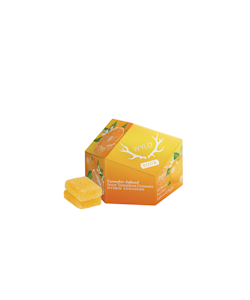 WYLD - WYLD - Sour Tangerine Gummies - 10 Pack