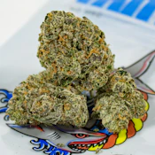 TEDS BUDZ - 3.5G Tartar Sauce
