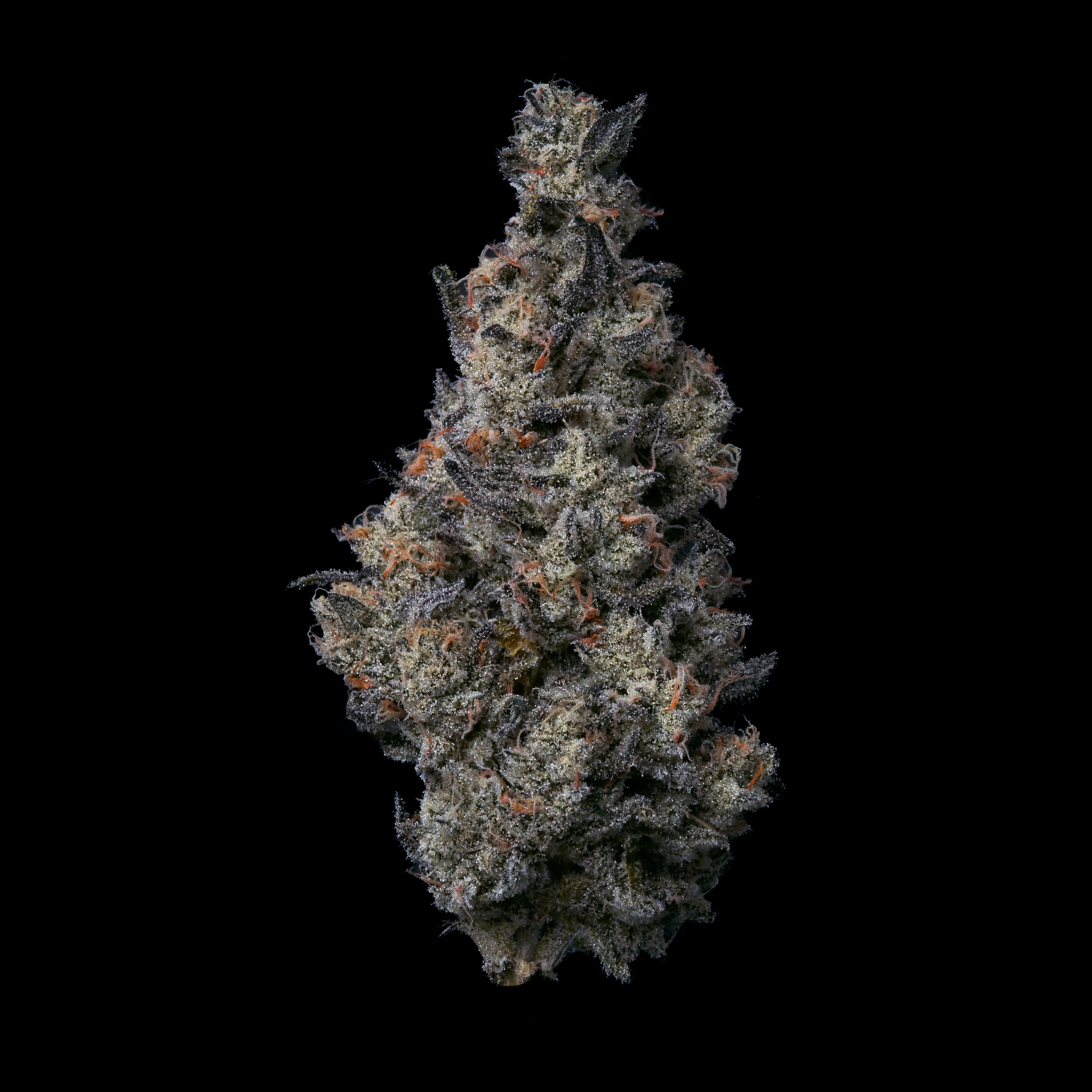 Fig Farms - Fig Farms - Flower - Donut Shop 3.5g Main Image
