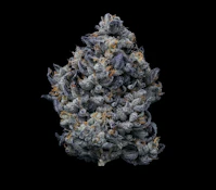 Fig Farms Indoor Flower 3.5g - Lemon Cherry Gelato 32%