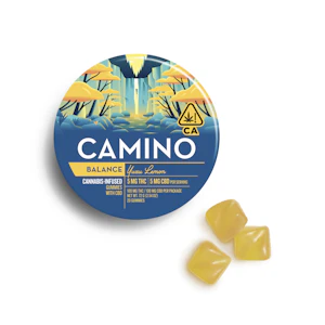 CAMINO - Camino Gummies Yuzu Lemon CBD 1:1