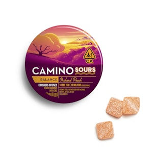CAMINO - Camino Sours Orchard Peach 1:1 (100mg/10ct)