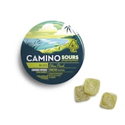 Camino Sours Citrus Punch (100mg/10ct)