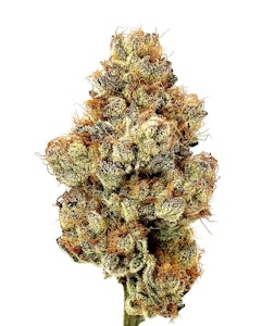 Dank - Wood Wide - Flower - Pleazure - 1g