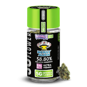 DOODLEZ - DOODLEZ Infused Flower/Berry Alien/5G/(H)