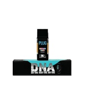  PLUG™ DNA: Northern Lights