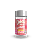 Gelato - Preroll - Infused - 5pk - Watermelon Punch