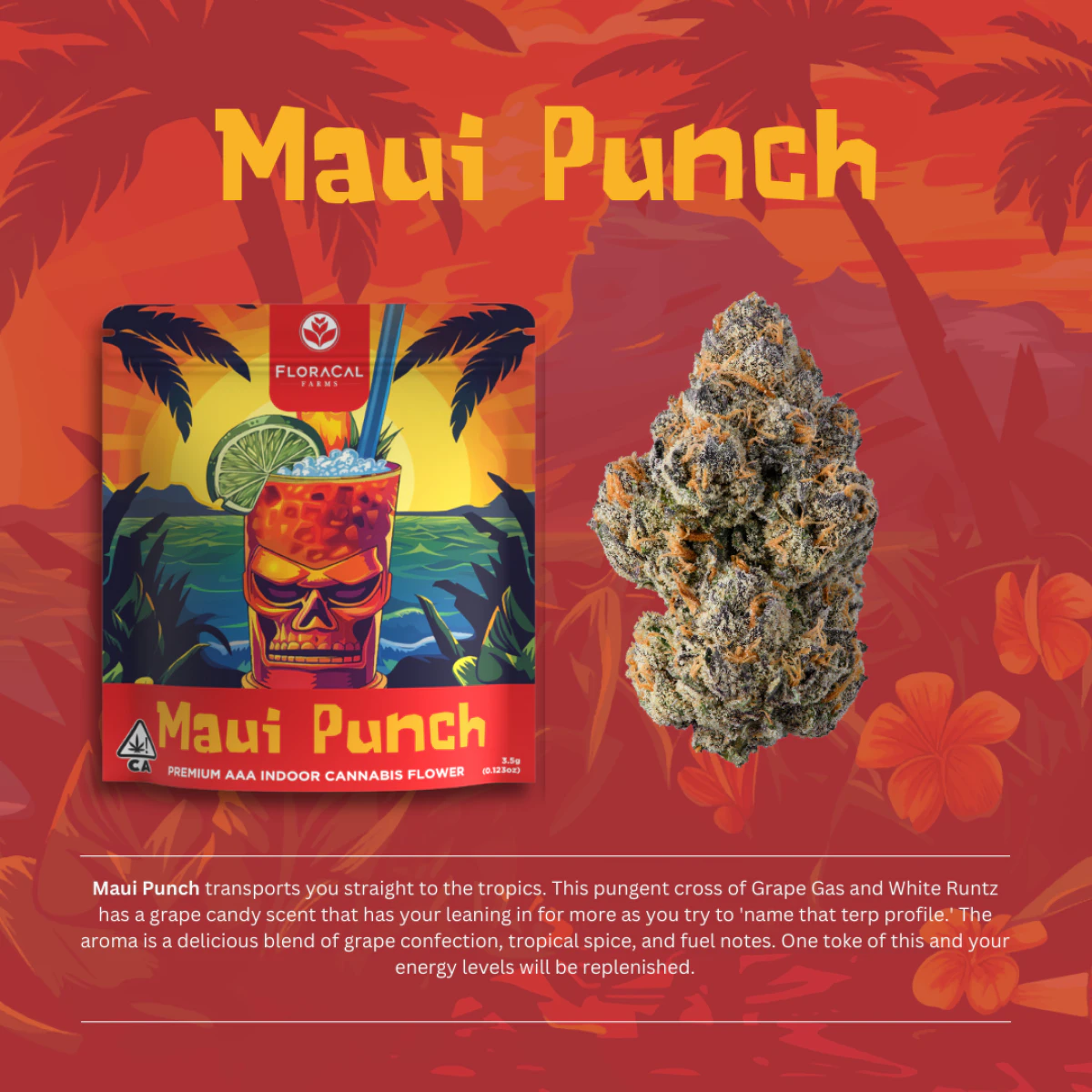 FloraCal - FloraCal | Indoor Flower | Maui Punch | 3.5g Main Image