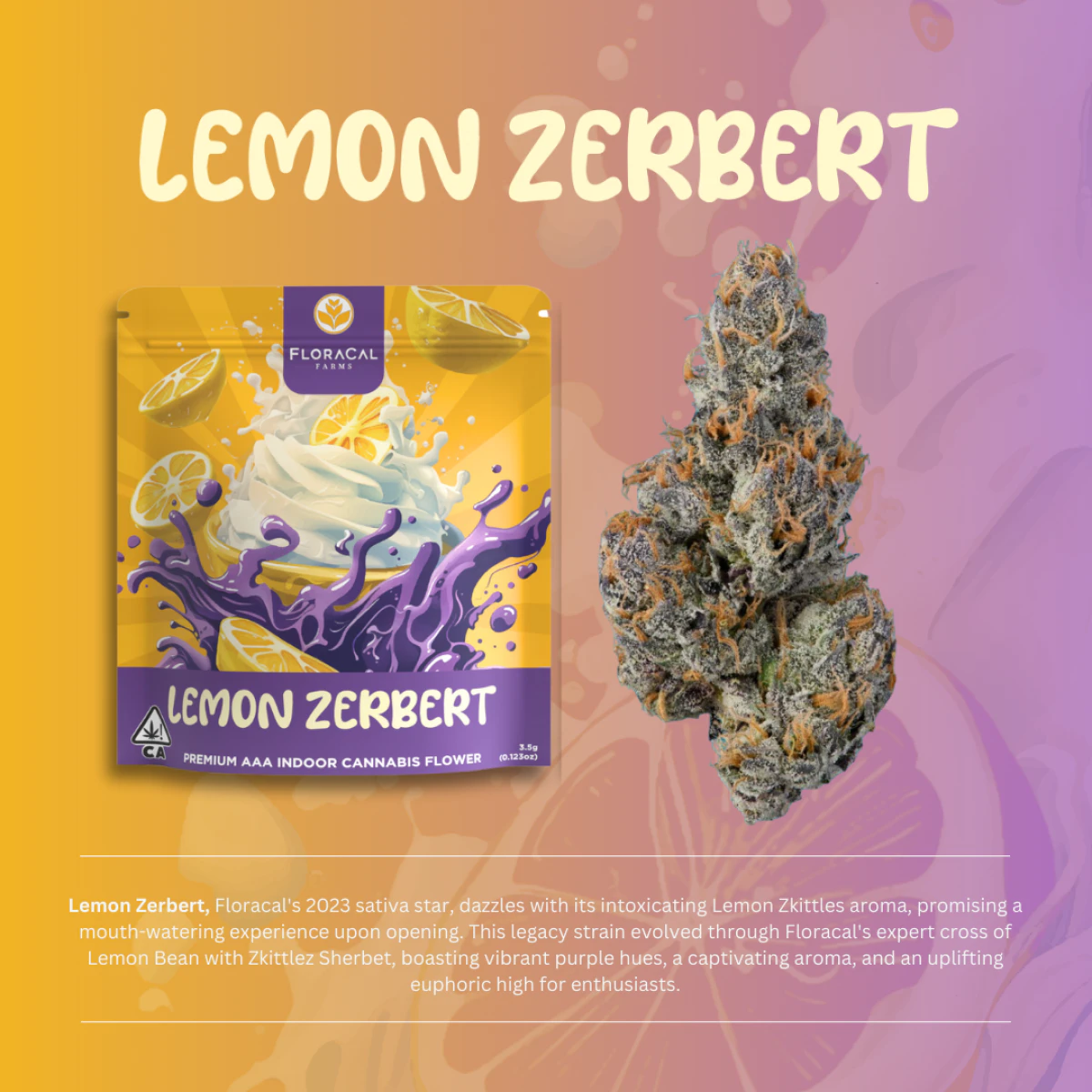 FloraCal - FloraCal | Indoor Flower | Lemon Zerbert | 3.5g Main Image
